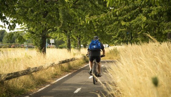 sports bike cycling the way 850323