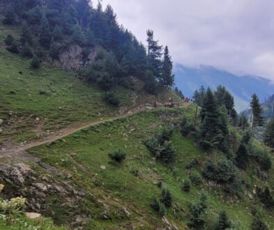 Historia kolarstwa górskiego - od początków do współczesności