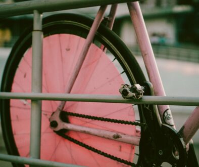 Najlepsi kolarze świata - sylwetki i ich osiągnięcia