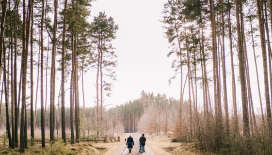 Najlepsze trasy rowerowe w Polsce - od gór po wybrzeże